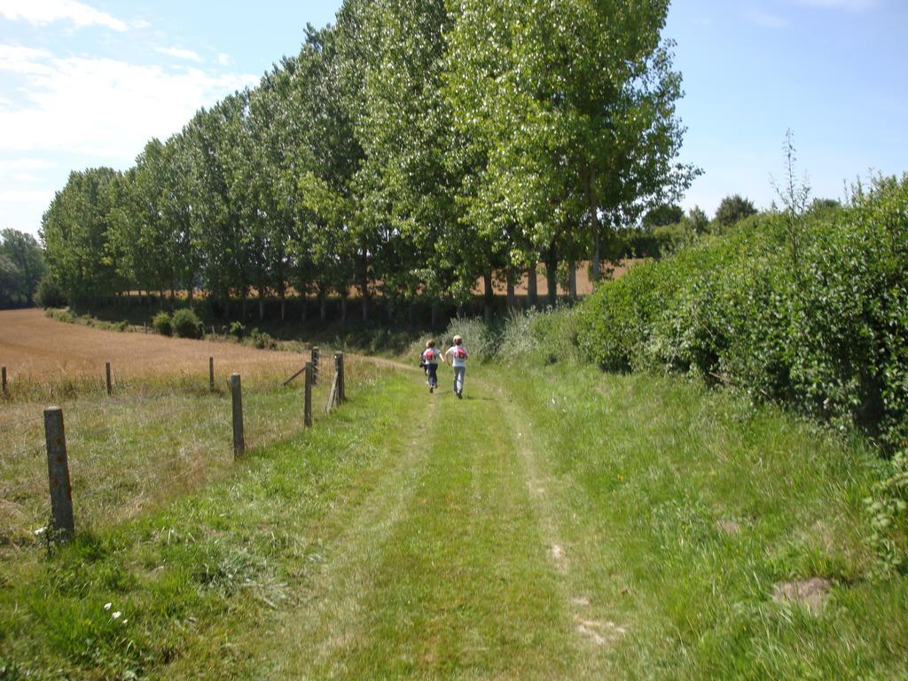 Chambres D'Hotes La Ferme Du Scardon Neufmoulin Eksteriør billede