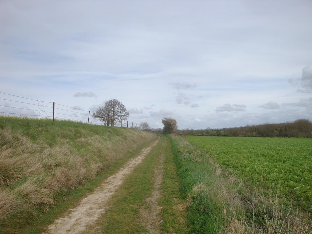 Chambres D'Hotes La Ferme Du Scardon Neufmoulin Eksteriør billede
